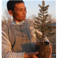 辽宁省新民市花山东基地---辽宁冷杉 