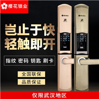 东营指纹锁安装