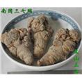 云南三七批发%南国三七 