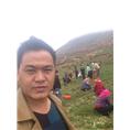丽江玛咖种植基地 
