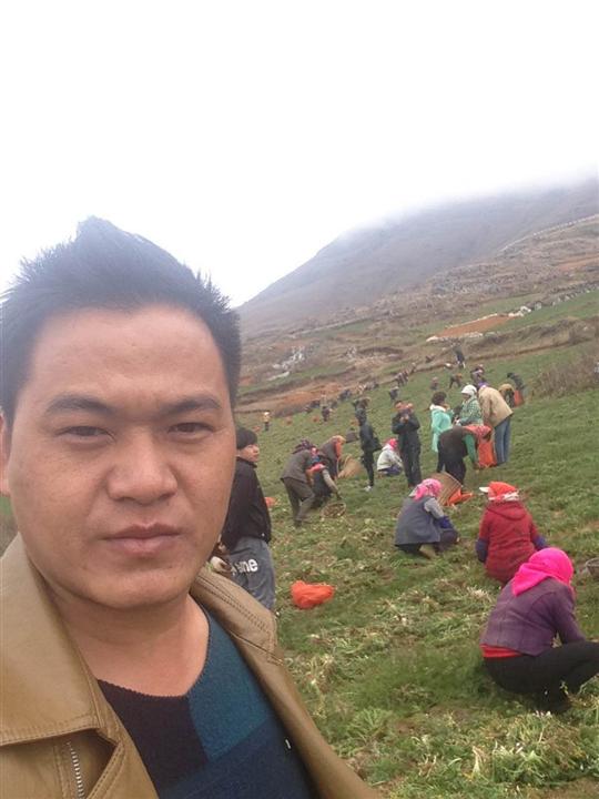 丽江玛咖种植基地 