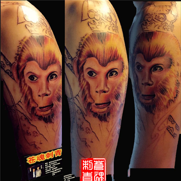 苍魂刺青tattoo
