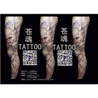 苍魂刺青2017 