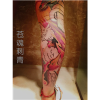 花臂，花腿，满背，全身