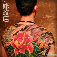 纹身线条修改＿徐州苍魂刺青工作室 