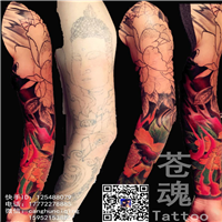 苍魂刺青tattoo