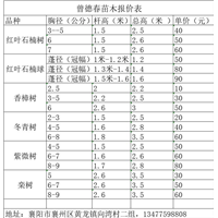湖北襄阳树苗苗木报价表 