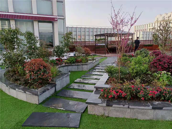 昆山绿化公司