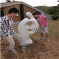 园林园艺