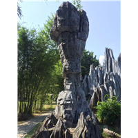 河南假山景观