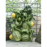 云南假山定制