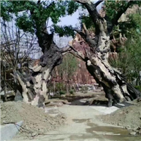 云南庭院假山