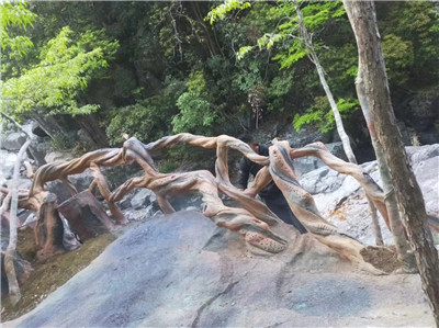 湖南仿木护栏