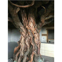 云南假山假树