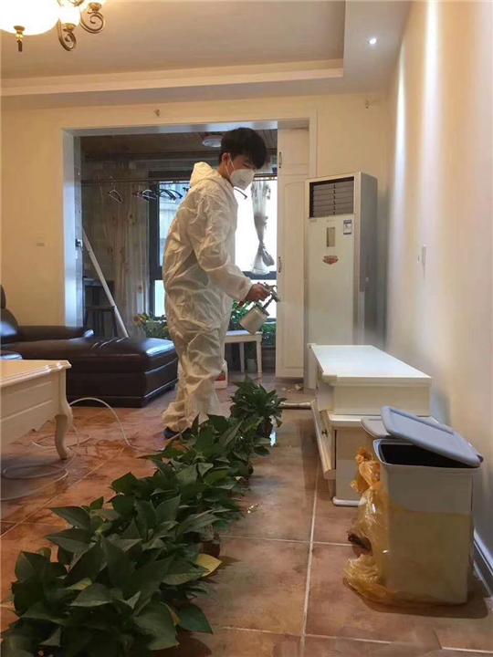 怡林四季小区甲醛治理 