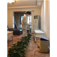 怡林四季小区甲醛治理 