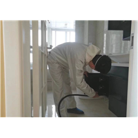 新房除甲醛 
