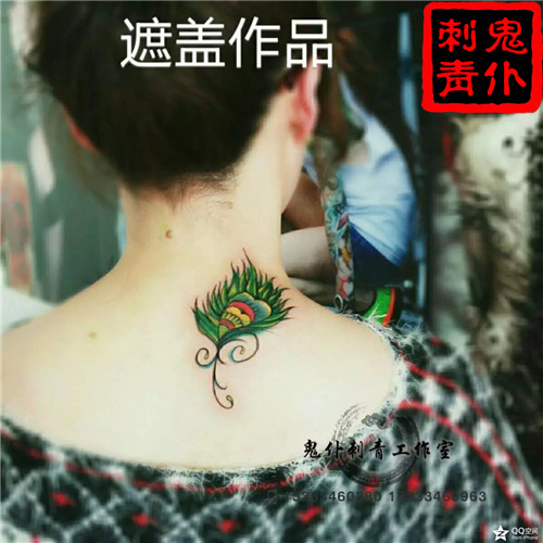 晋城纹眉 