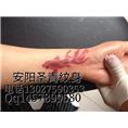 圣青纹身本店作品 