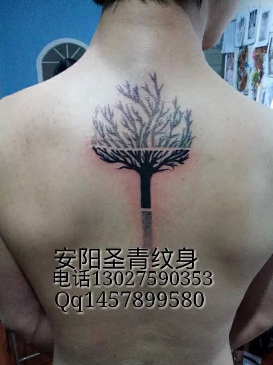 安阳圣青纹身，，，是安阳**的纹身店 