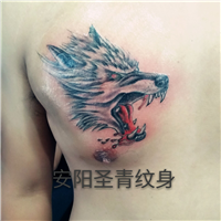 安阳圣青纹身工作室*安阳纹身
