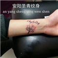 安阳圣青纹身 