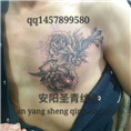 安阳圣青纹身 