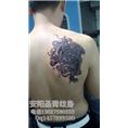 安阳圣青纹身工作室 
