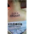 安阳圣青纹身，，，是安阳**的纹身店 