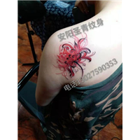 安阳纹身（什么事无痛纹身）圣青纹身