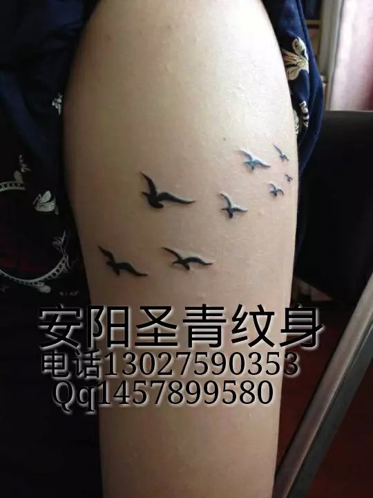 安阳圣青纹身，，，是安阳**的纹身店 