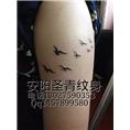 安阳圣青纹身，，，是安阳**的纹身店 