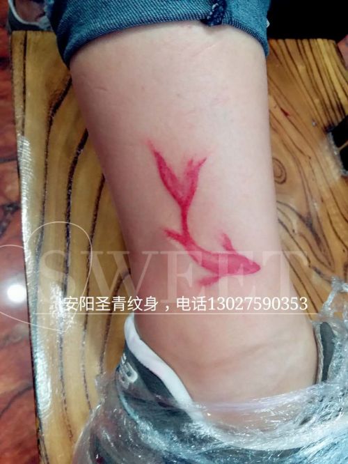 安阳纹身-安阳圣青纹身工作室