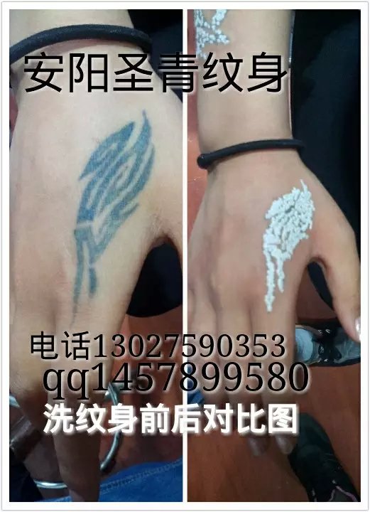 安阳圣青纹身 