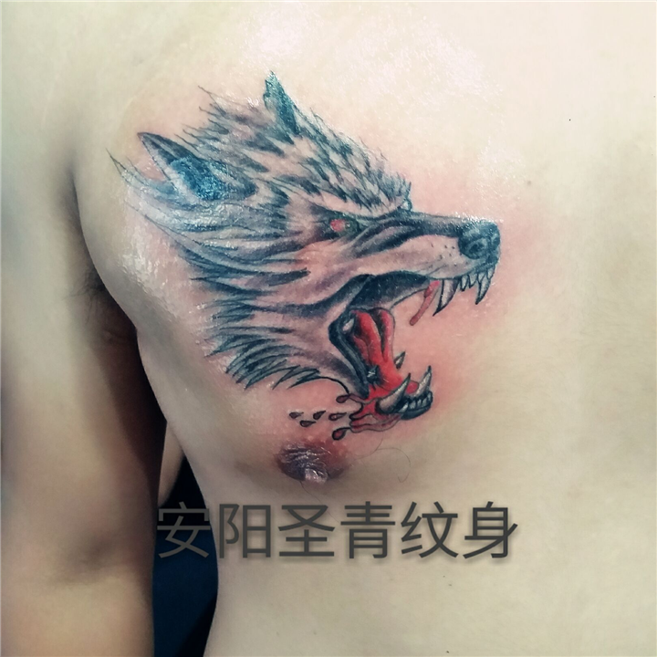 安阳圣青纹身工作室*安阳纹身