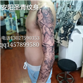 安阳圣青纹身 