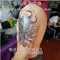 安阳圣青纹身 