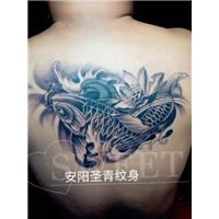 安阳纹身-安阳圣青纹身工作室
