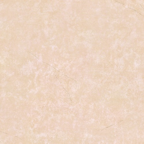 JL60221P