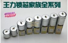 王力特能芯家族全系列 
