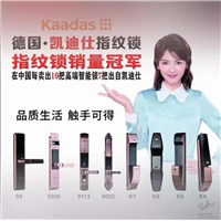 凯迪仕智能锁