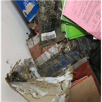 百色白蚁防治公司服务于百色革命老区 