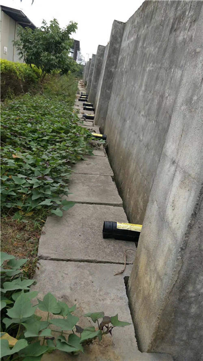 来宾崇左灭老鼠的公司哪家** 