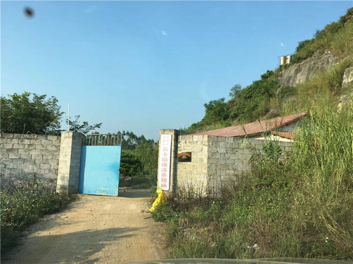 桂林柳州有专业灭老鼠的公司吗 
