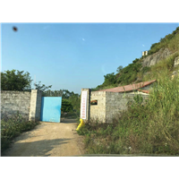 桂林柳州有专业灭老鼠的公司吗 