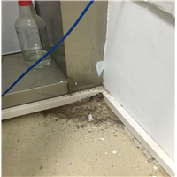 贵港白蚁防治价格贵港白蚁防治传授 