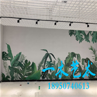 莆田室外墙绘 