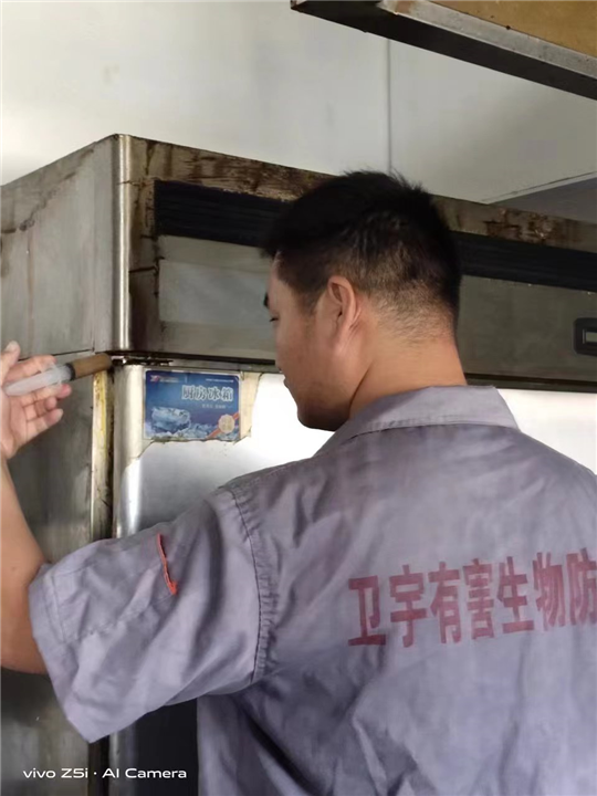 邢台隆尧酒家灭鼠灭虫灭白蚁服务找谁