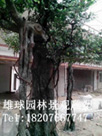 汕头动物雕塑 