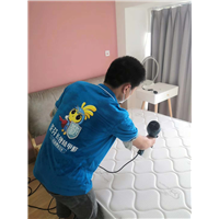 南昌除甲醛公司